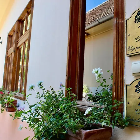 Pensiunea Agora Cisnădioara Esterno foto