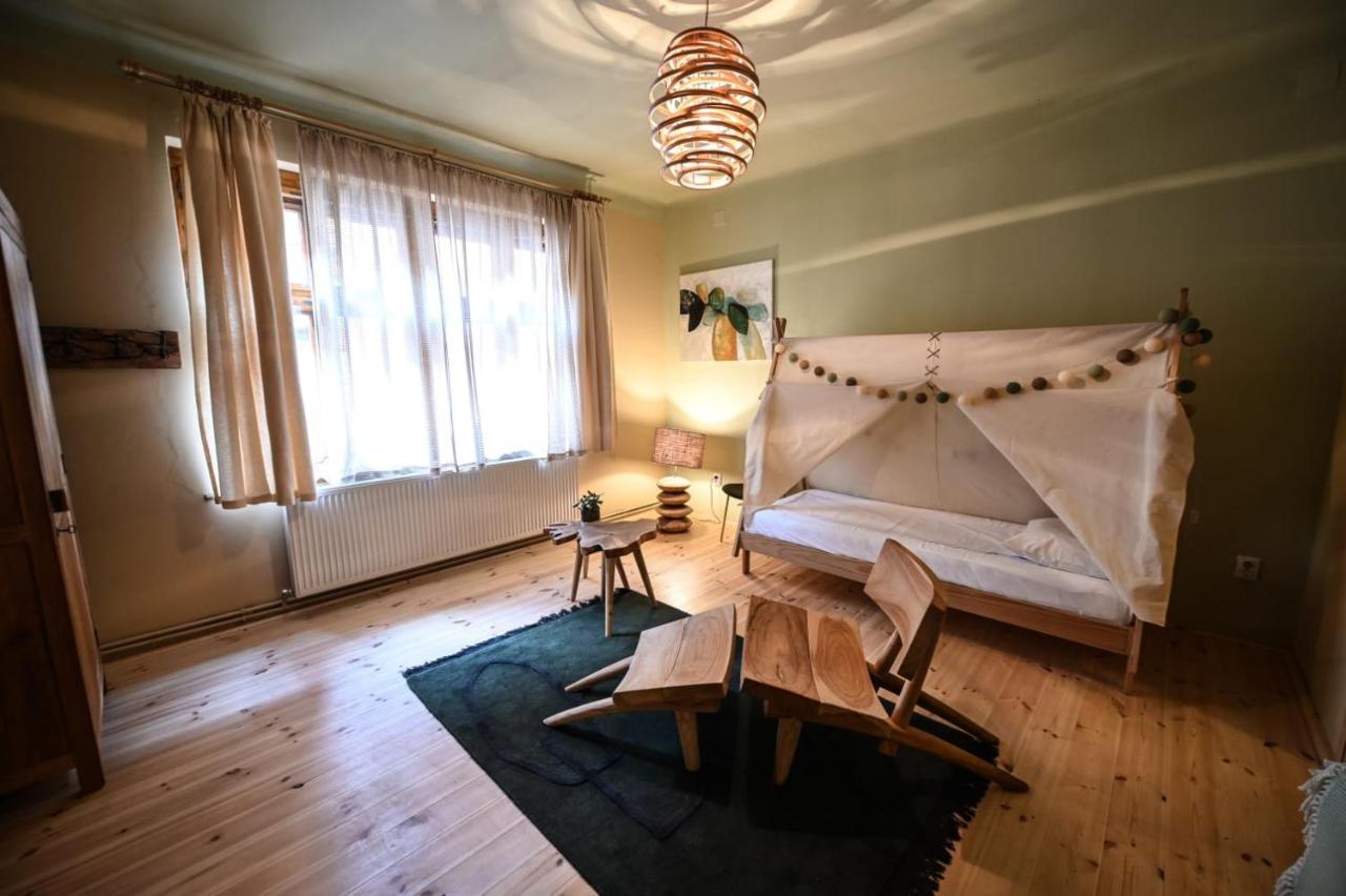 Guest house Pensiunea Agora *
