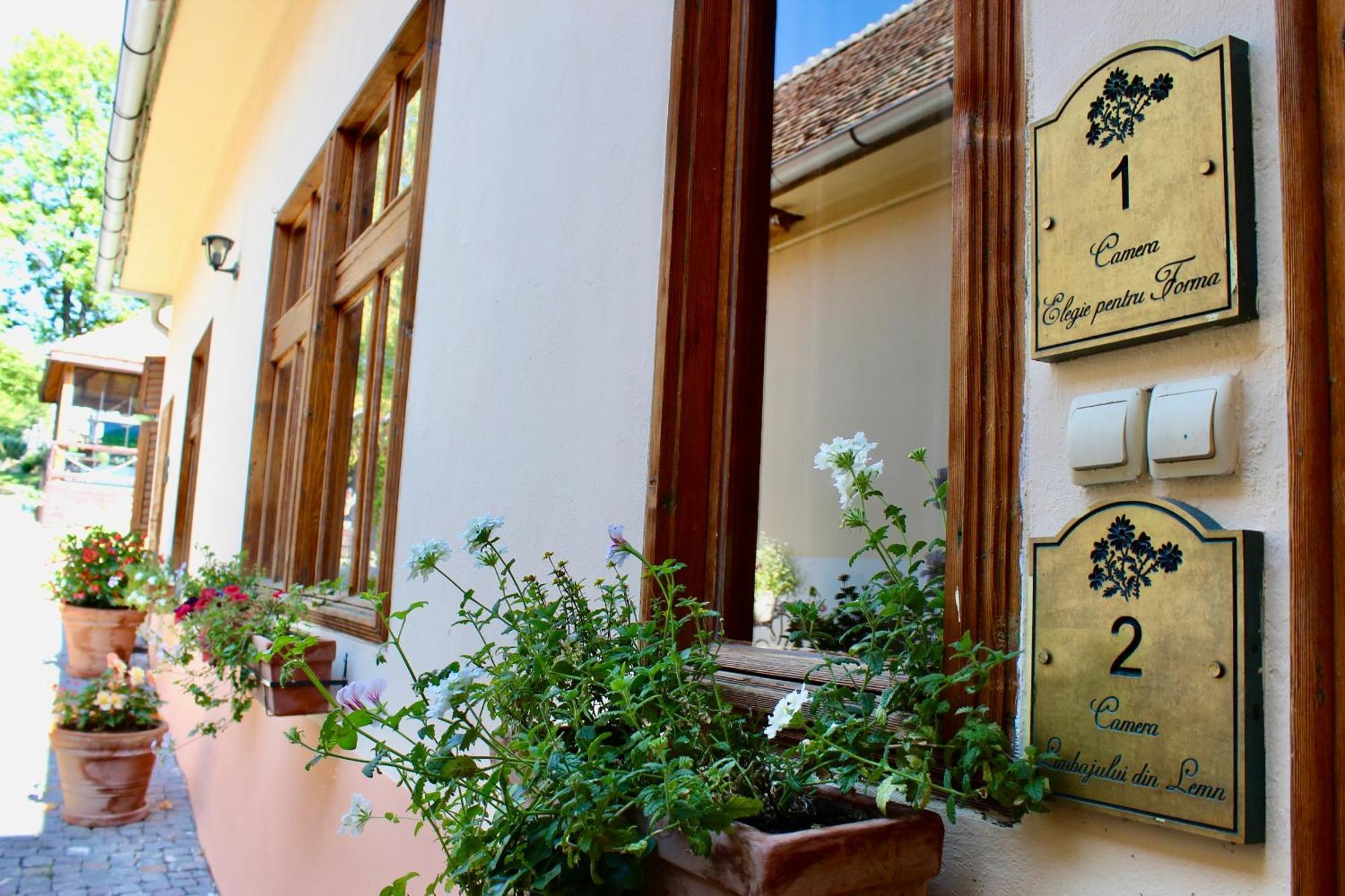Pensiunea Agora Guest house *