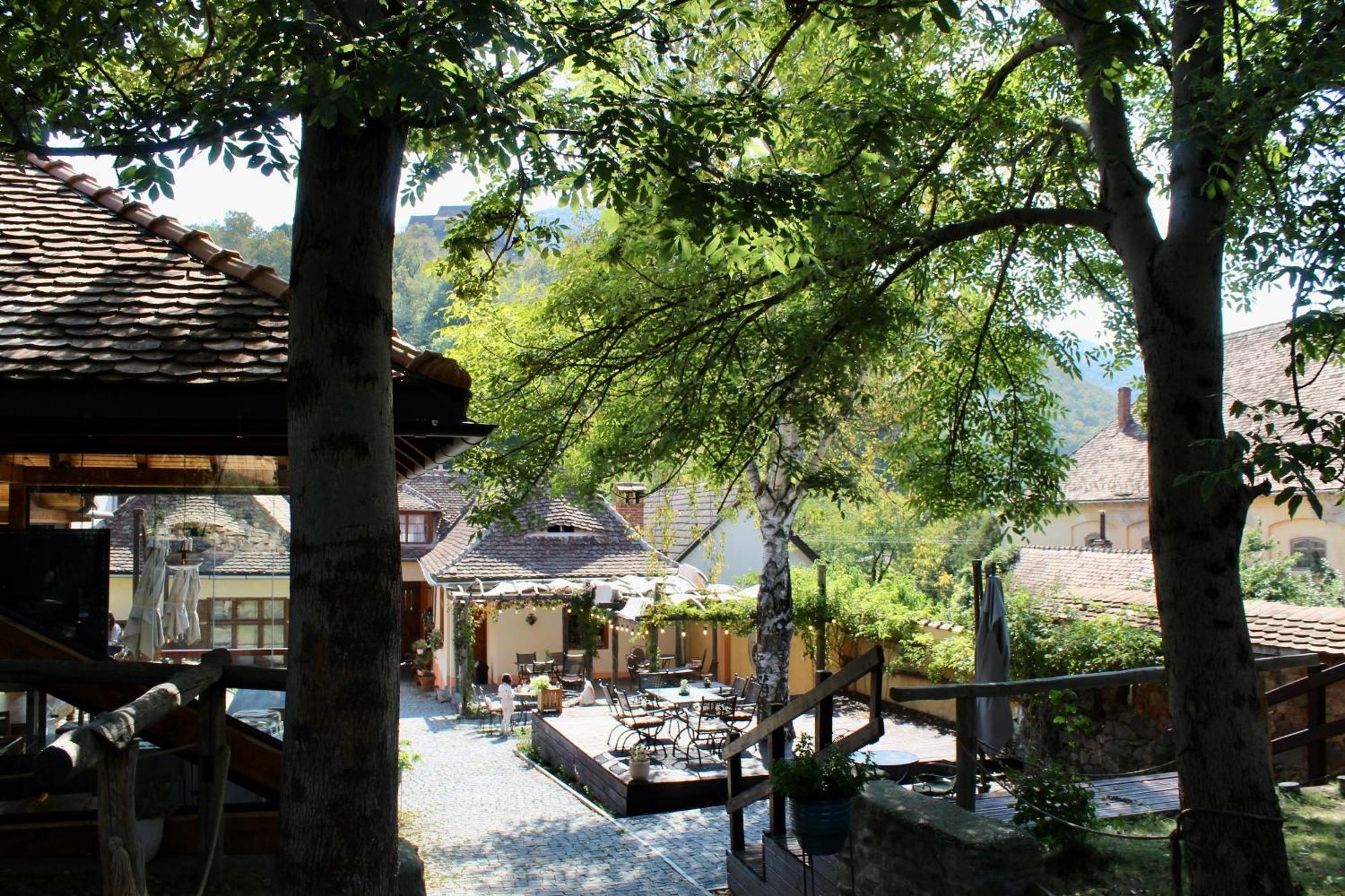 Pensiunea Agora * Cisnădioara