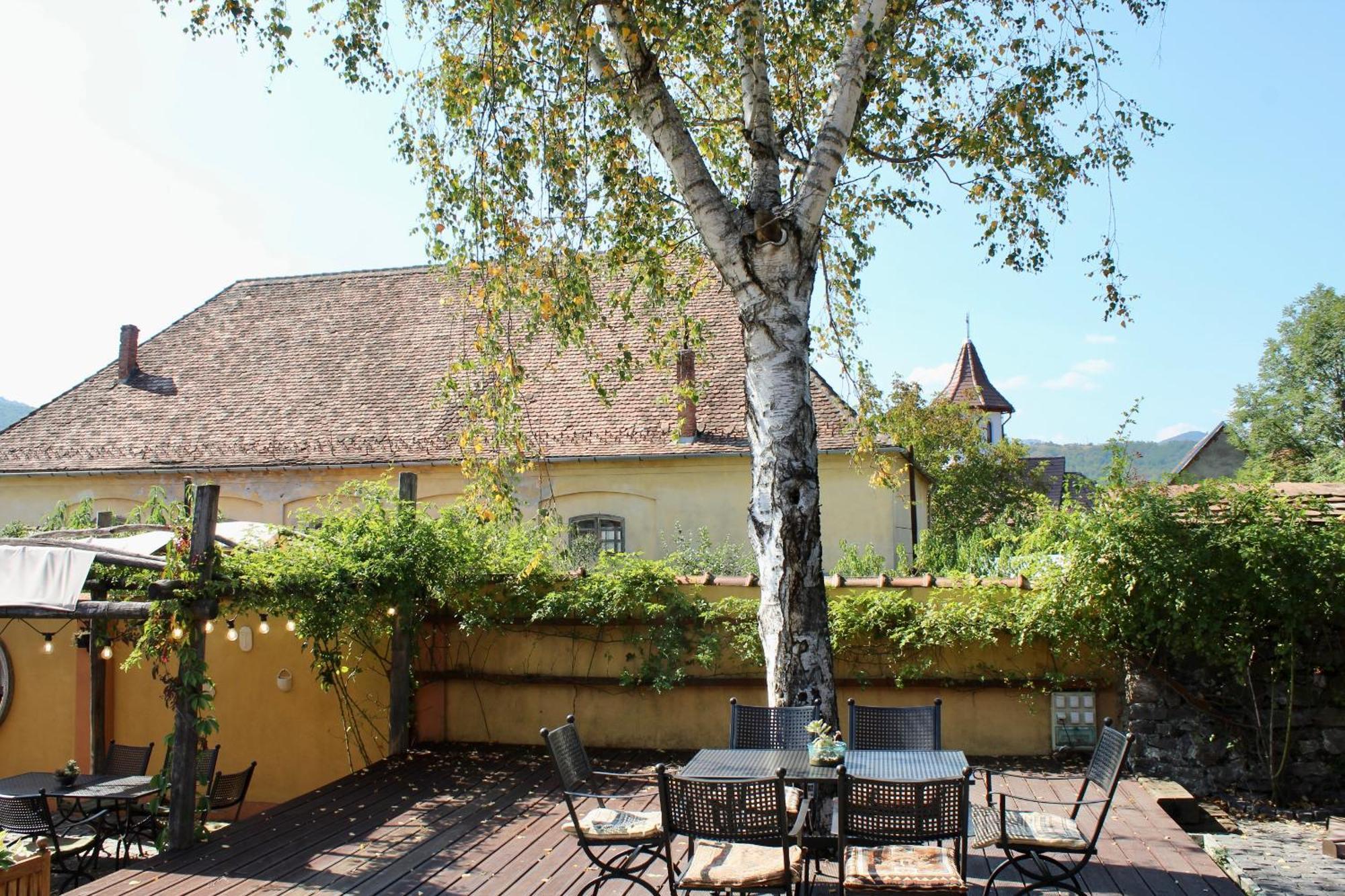 Guest house Pensiunea Agora