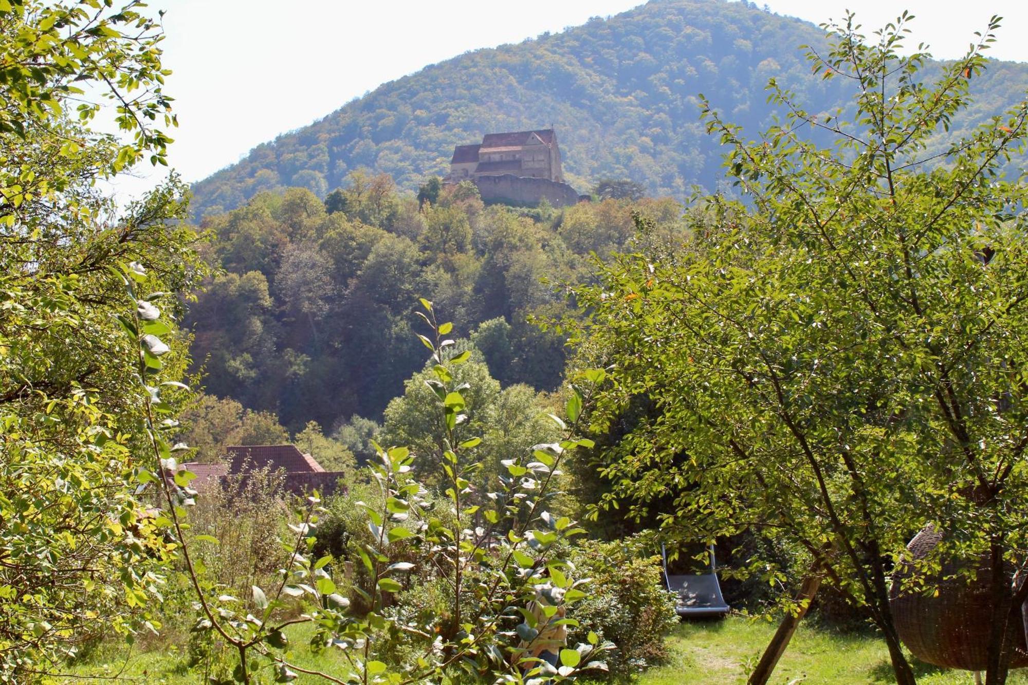 Pensiunea Agora Guest house