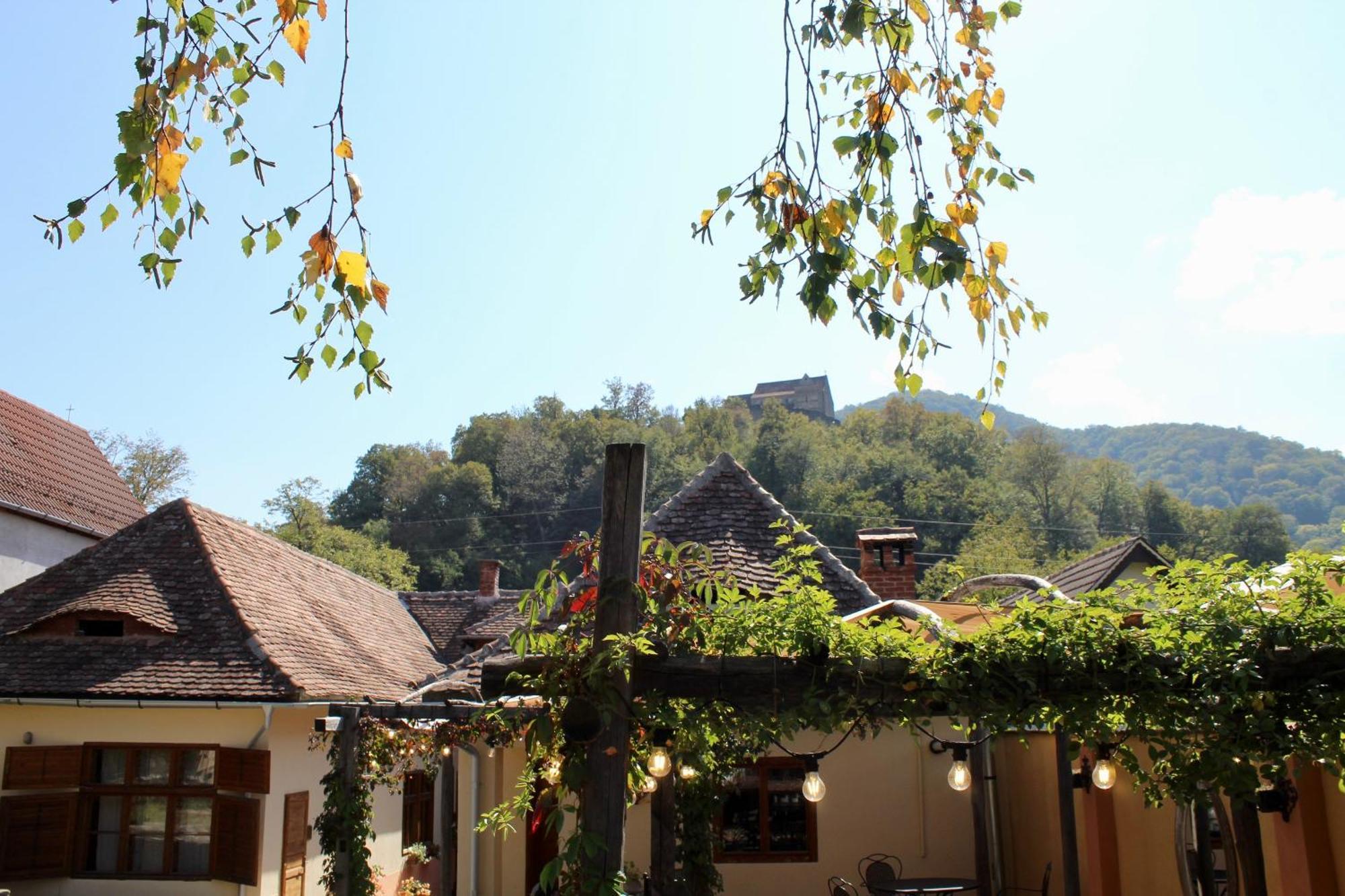 Guest house Pensiunea Agora